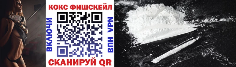 COCAIN Fish Scale  Купить где  Красноярск 